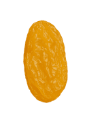 Raisin
